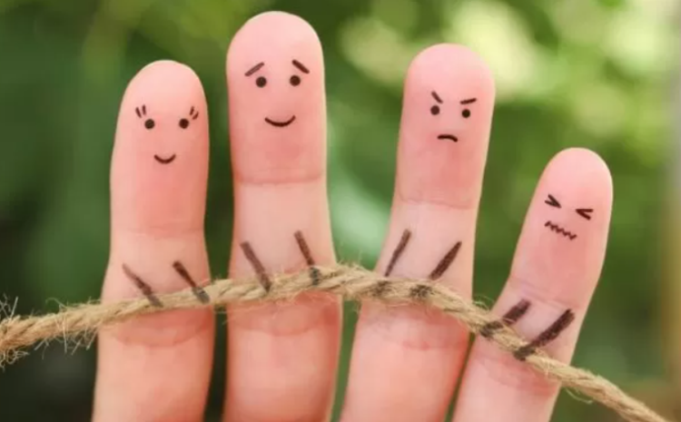  La empresa familiar: un protocolo para prever cambios y conflictos